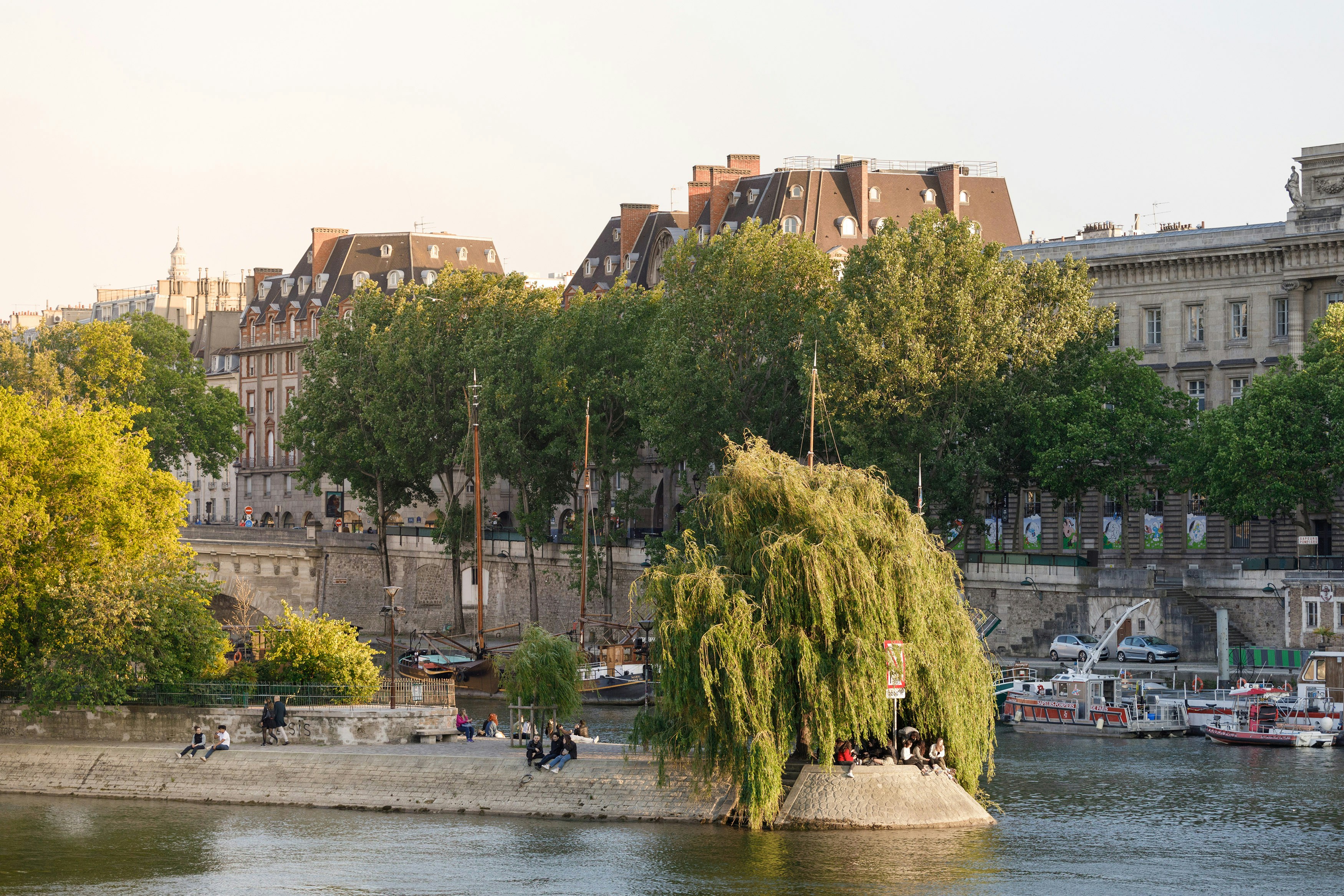 Square du Vert-Galant Paris with Seine River view and lush greenery