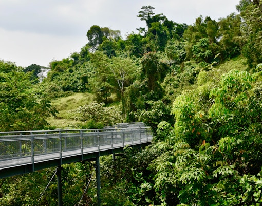 Singapore Travel Guide - Southern Ridges