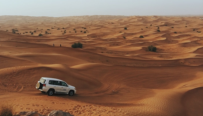 Al Awir Desert
