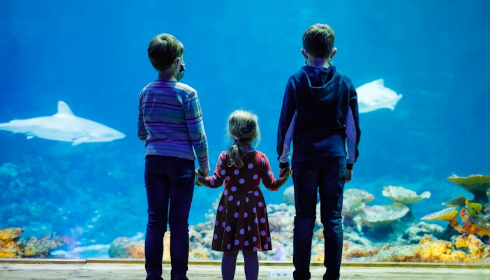 migliori attrazioni a Madrid