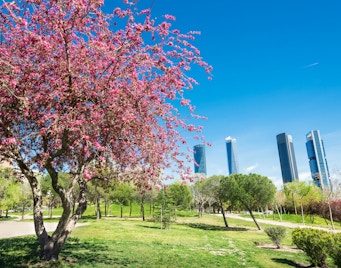 Madrid Travel Guide - Spring