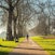 Hyde Park