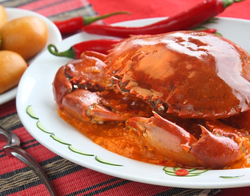 Singapore Travel Guide - Must-Try Singaporean Food