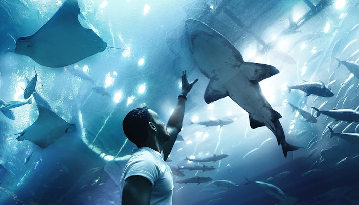 Aquário de Dubai Ingressos - Underwater Zoo