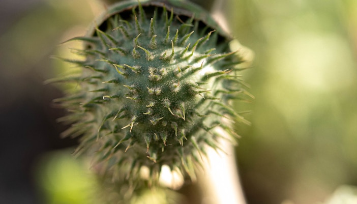 Central Florida Zoo & Botanical Gardens