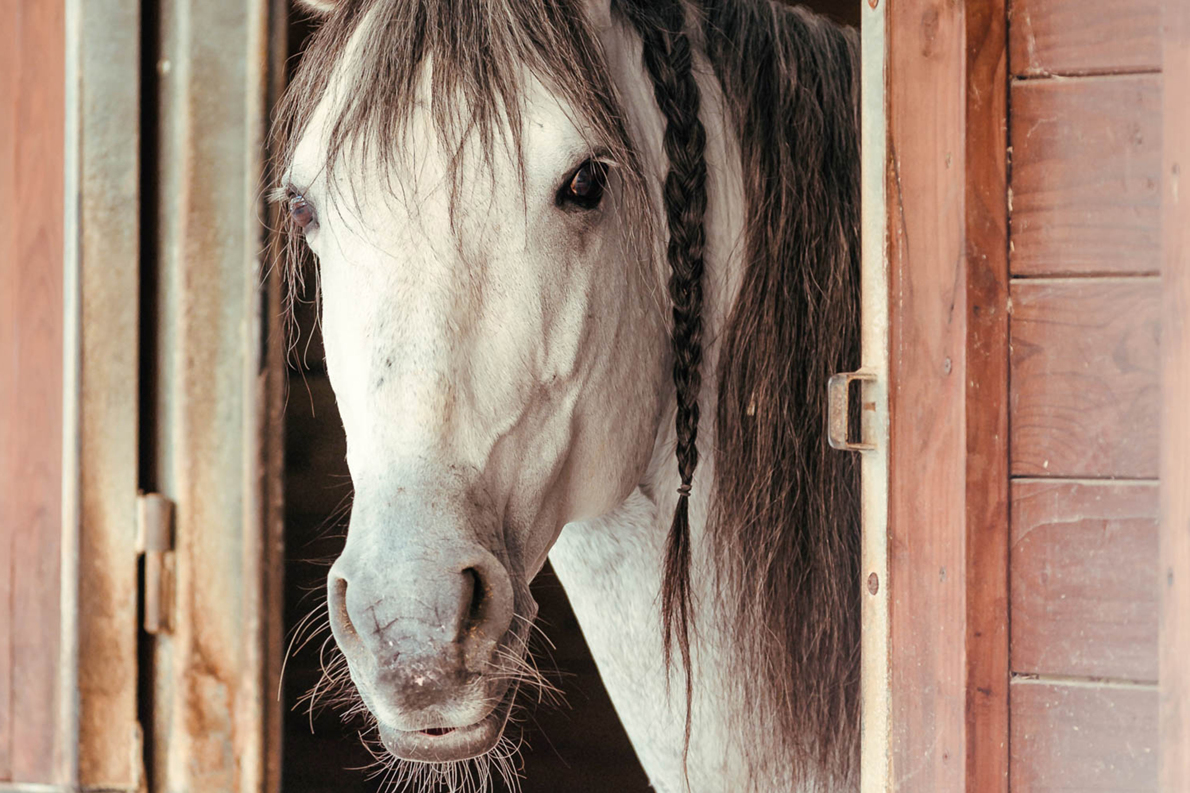 chateau de chantilly