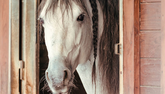 chateau de chantilly
