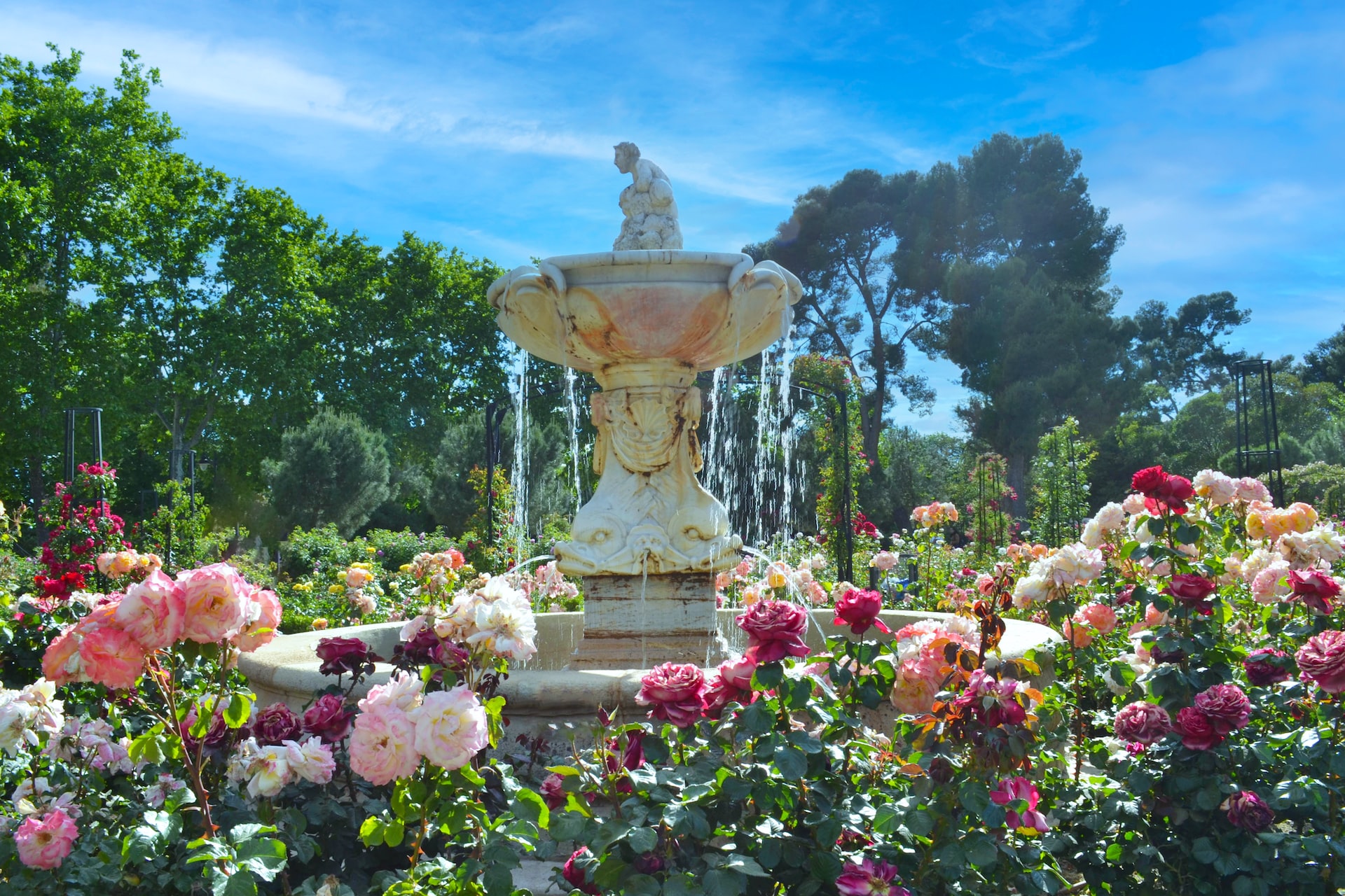 Best Parks In Madrid 2024 Best Things To Do More   Fe80136fa4162e34a8bcc8e1dd254eec Jacob Thomas Y L DNUEJRI Unsplash 