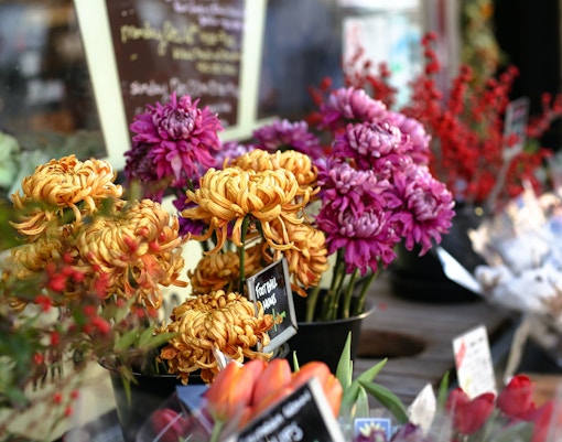 kew gardens shops