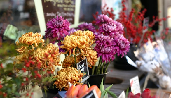 Kew gardens shop