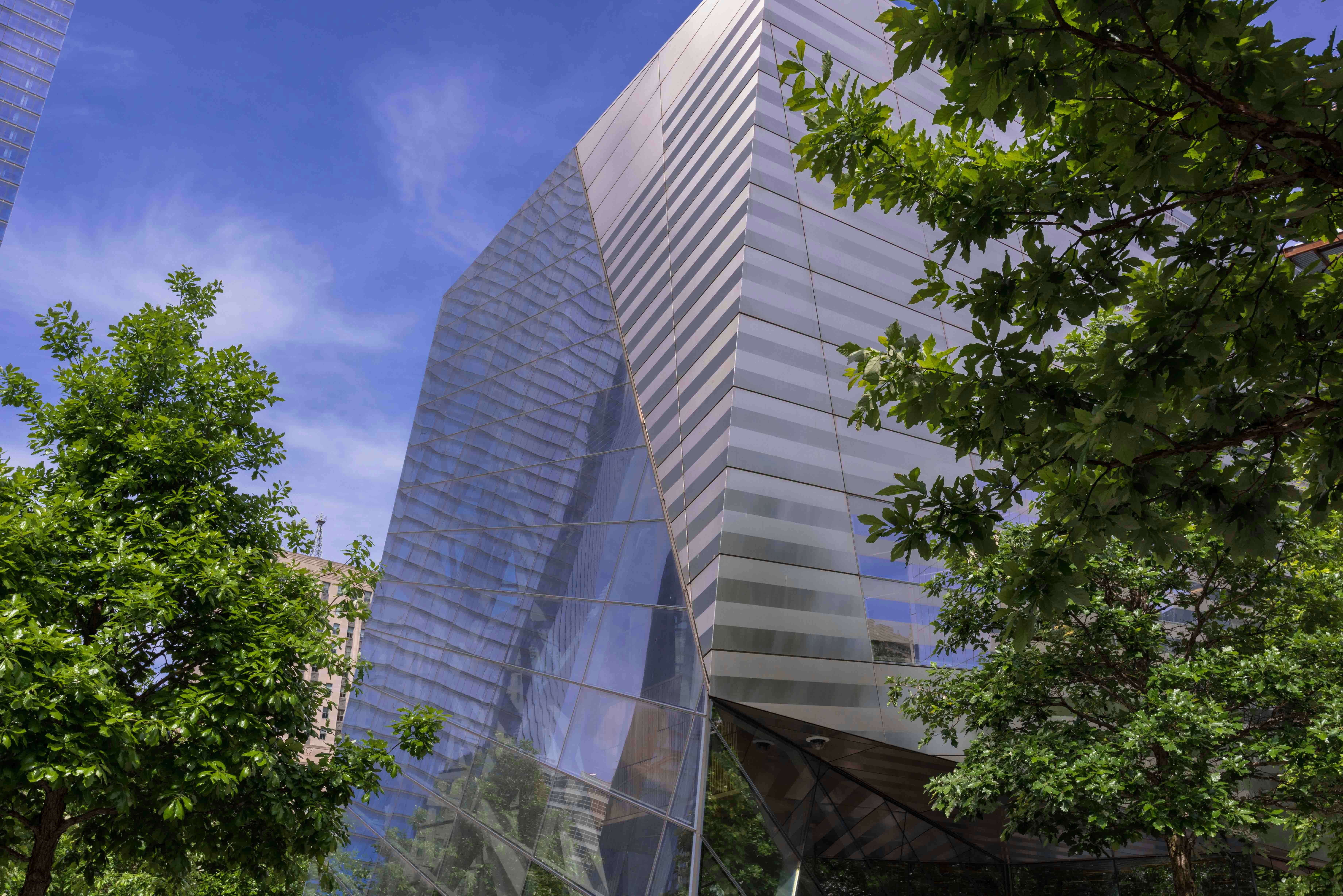 Árbol de supervivientes Museo del 11-S