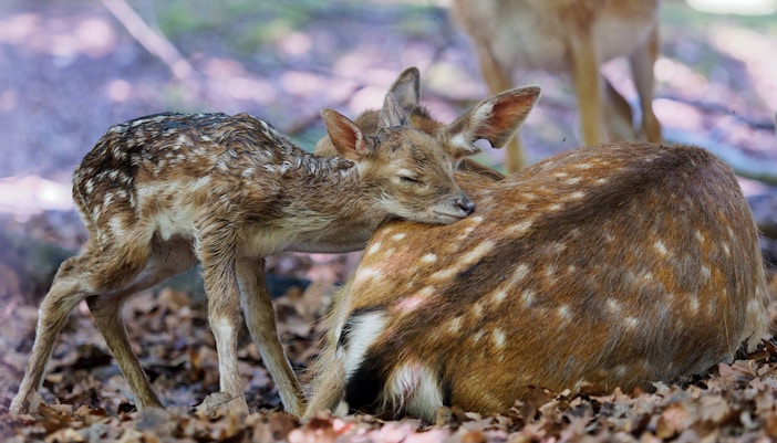 Sendaviva Natural Park tickets