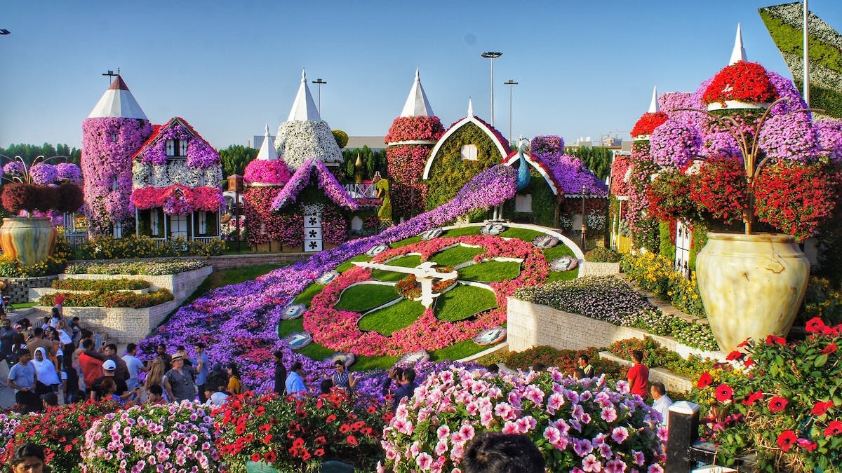 Colorful floral displays and flower-covered houses at Miracle Garden, Dubai.