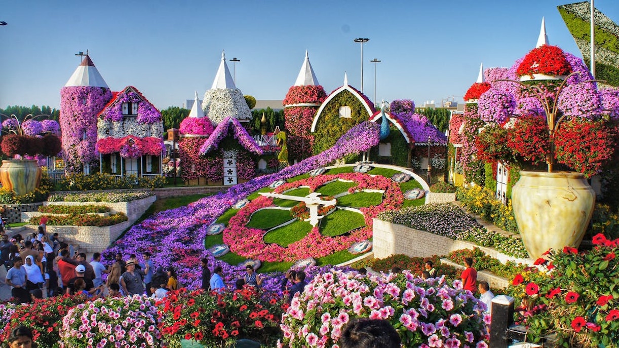 Visit Miracle Garden Dubai