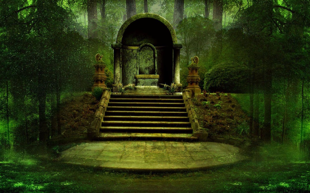 Stone archway and steps in a mystical forest setting, related to "The Longest Con.
