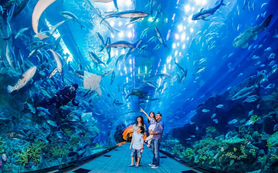 Family exploring underwater tunnel at Dubai Aquarium, surrounded by diverse marine life.