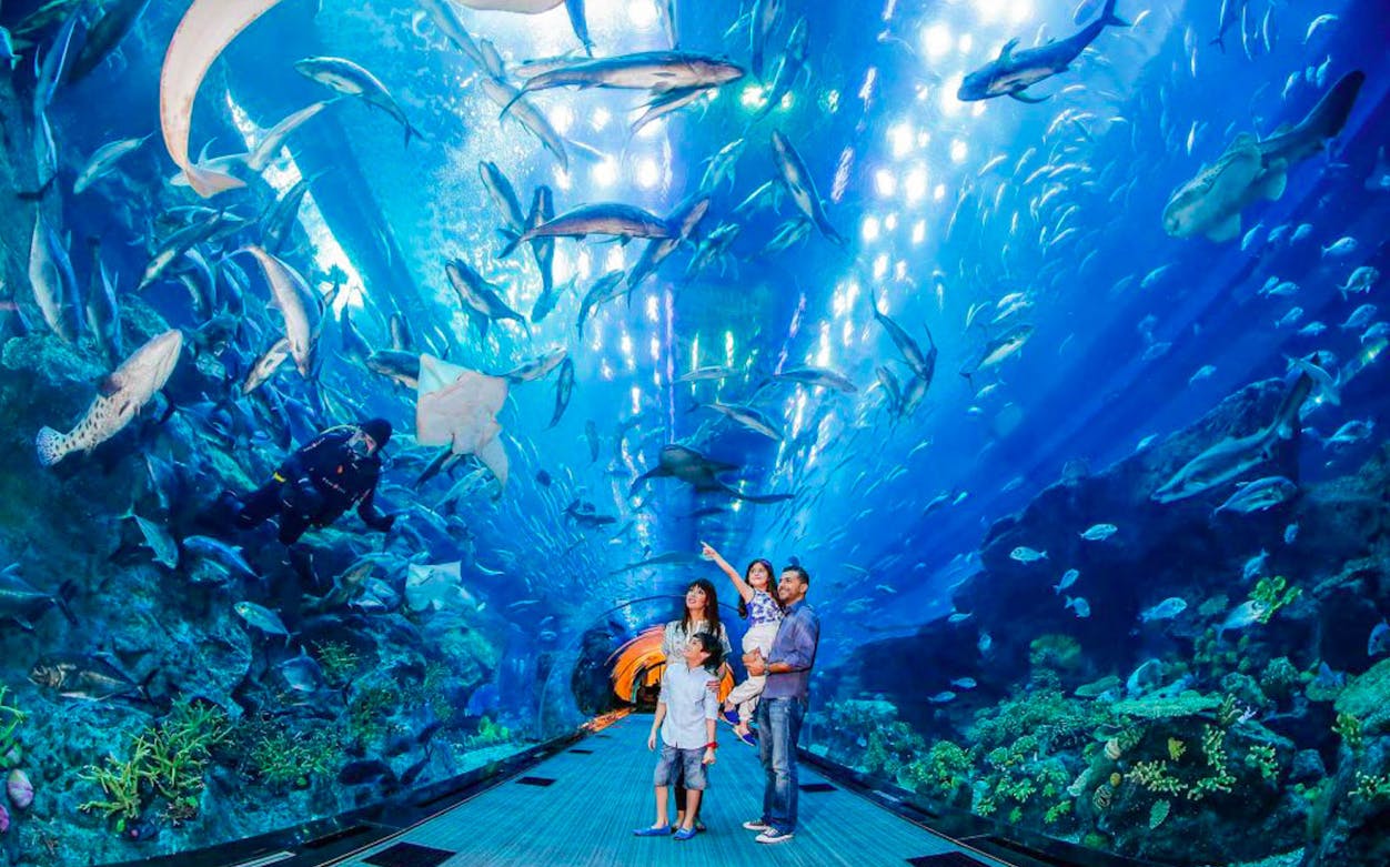 Family exploring underwater tunnel at Dubai Aquarium, surrounded by diverse marine life.