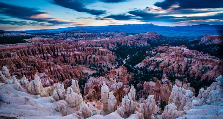 Canyon Tours