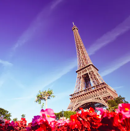 Dinner at the Eiffel Tower | All you need to know