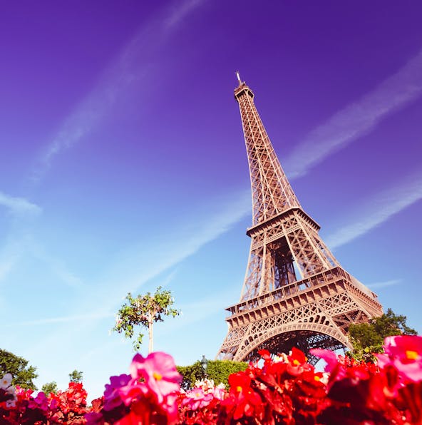 Dinner at the Eiffel Tower | All you need to know