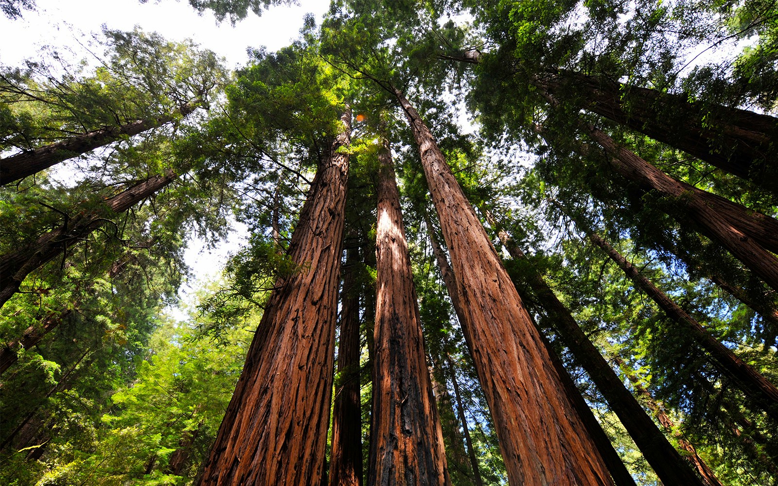 🎟️  Reconnect with nature on Broadway