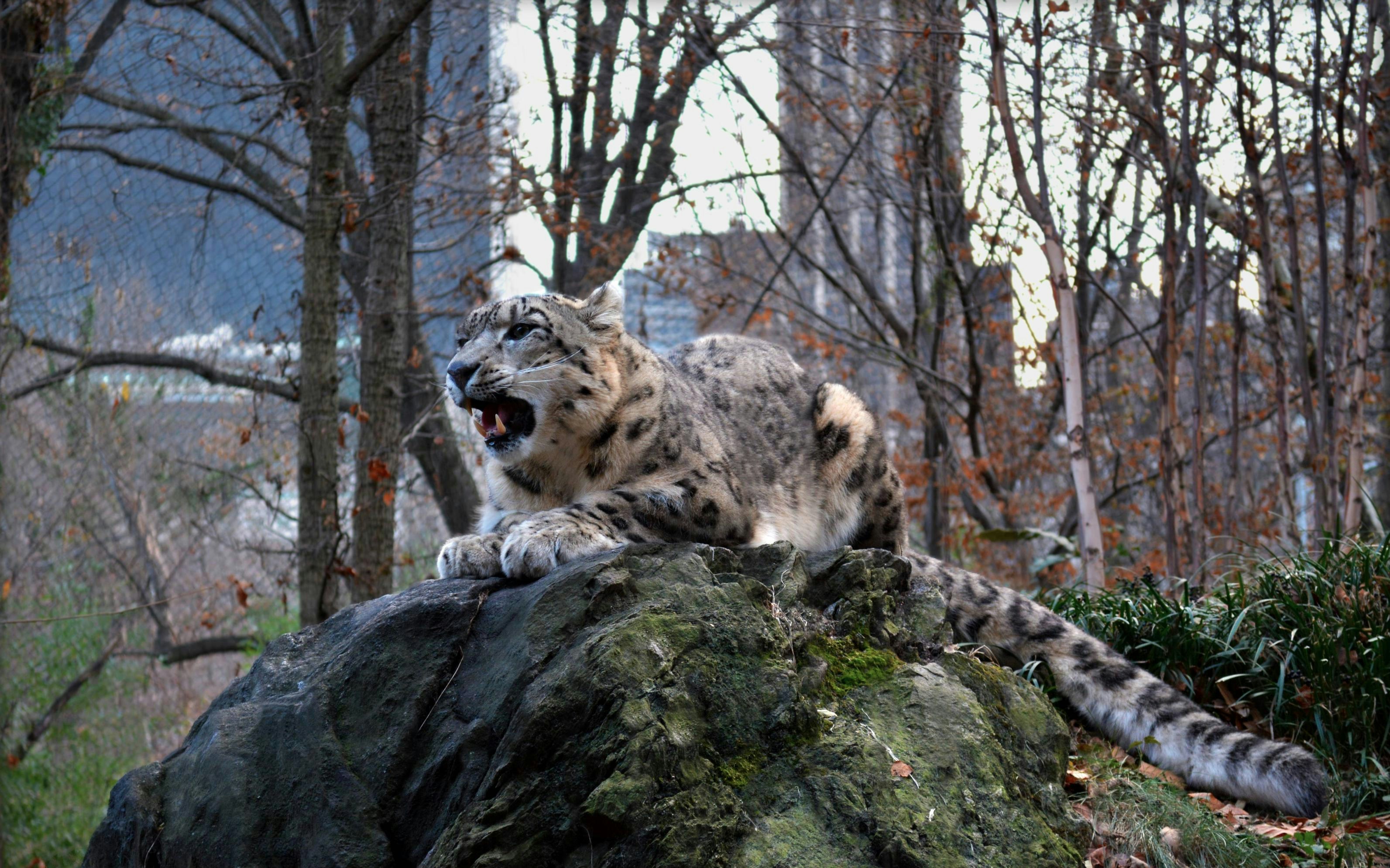 Central Park Zoo