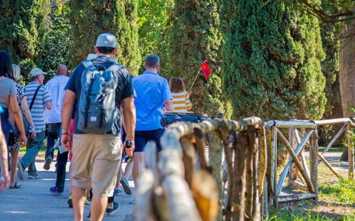 Tour group walking through trees towards Colosseum, Rome.