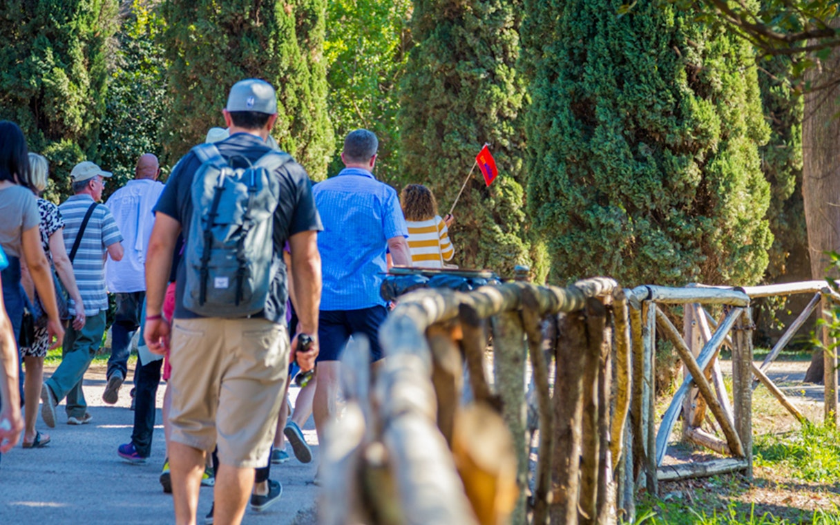 Tour group walking through trees towards Colosseum, Rome.