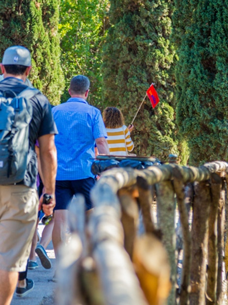 Tour group walking through trees towards Colosseum, Rome.