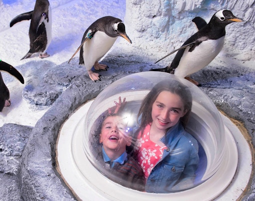 sea Life London aquarium tickets