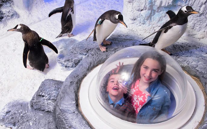 Children observing penguins through a viewing dome at Sea Life London.