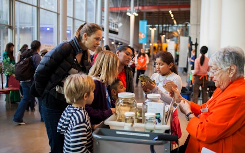 California Academy of Sciences