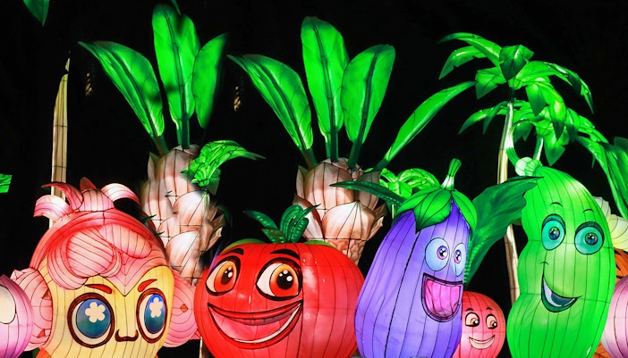 Garden Glow Rules