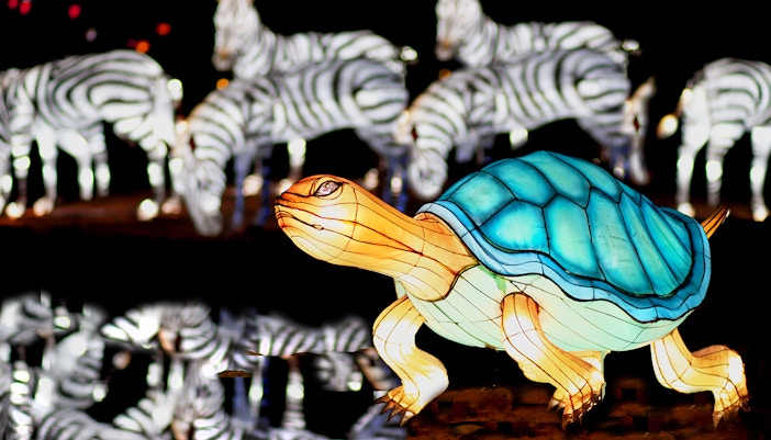 Garden Glow Glow Park