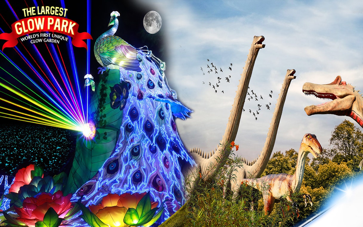Dubai Garden Glow featuring illuminated peacock sculpture and dinosaur light displays at night.