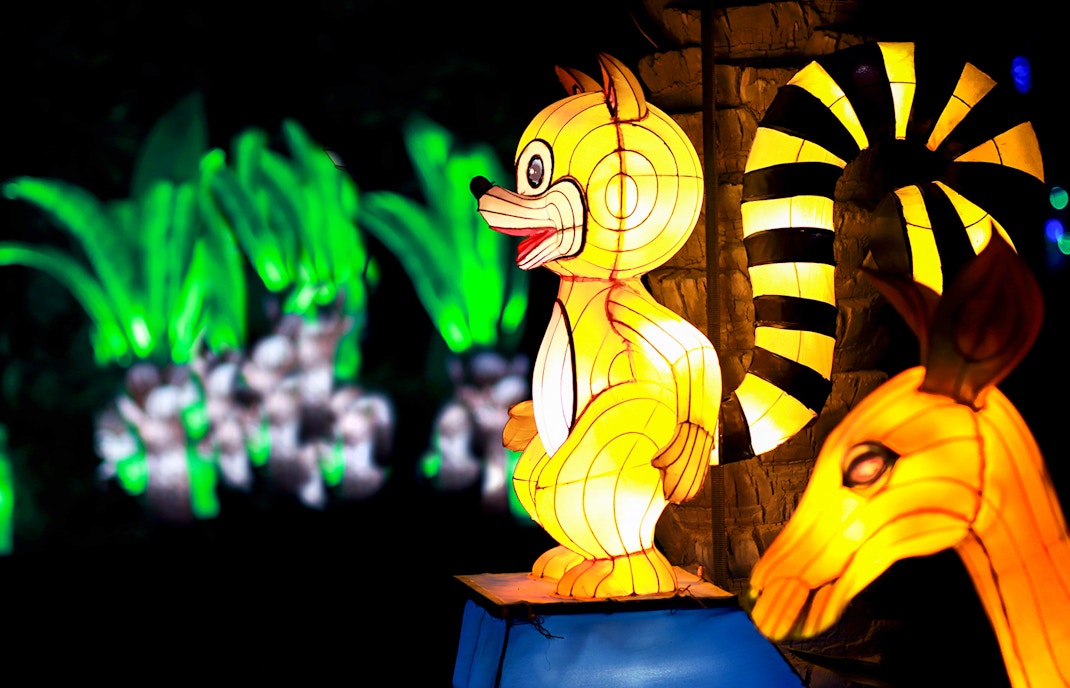 Garden Glow Rules