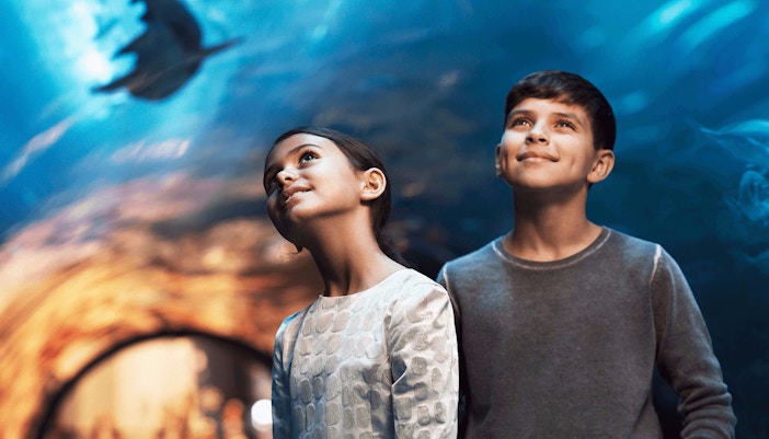 Rides at Motiongate Dubai