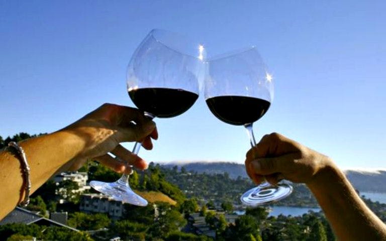 Toasting wine glasses overlooking Muir Woods and Wine Country landscape.