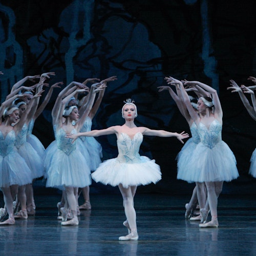 Planning a trip to NYC - Metropolitan Opera Swan Lake