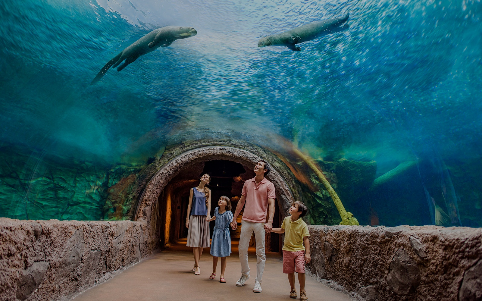 Family walking through an underwater tunnel at Singapore River Wonders, observing wildlife above.