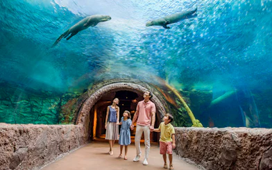 Family walking through an underwater tunnel at Singapore River Wonders, observing wildlife above.