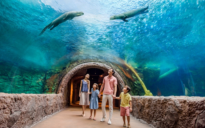 Family walking through an underwater tunnel at Singapore River Wonders, observing wildlife above.