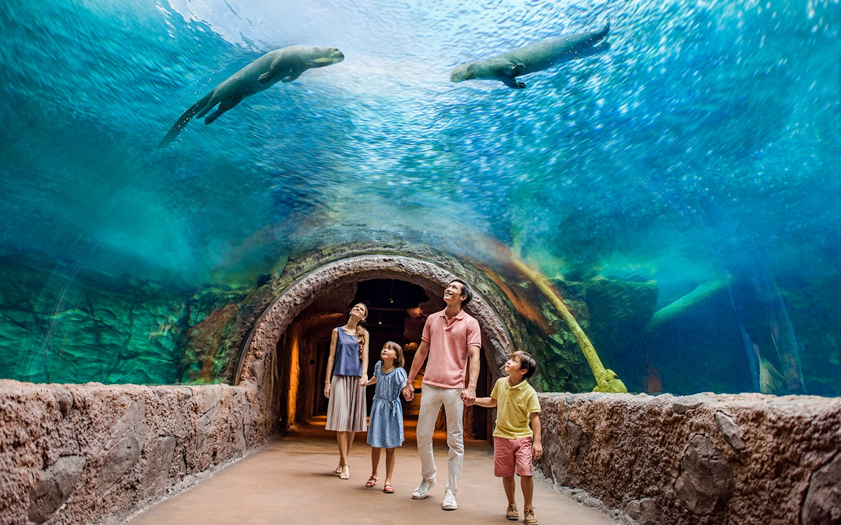 Family walking through an underwater tunnel at Singapore River Wonders, observing wildlife above.