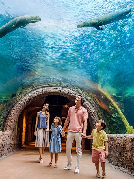 Family walking through an underwater tunnel at Singapore River Wonders, observing wildlife above.