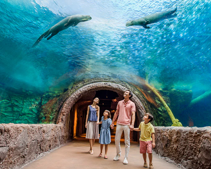 River Wonders Tickets