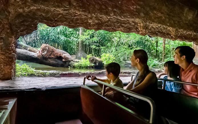 Tourists on Singapore River Wonders boat tour viewing a jaguar by lush riverbank.