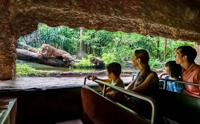 Tourists on Singapore River Wonders boat tour viewing a jaguar by lush riverbank.