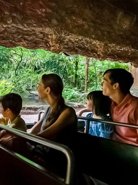 Tourists on Singapore River Wonders boat tour viewing a jaguar by lush riverbank.