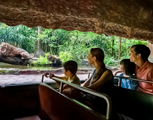 Tourists on Singapore River Wonders boat tour viewing a jaguar by lush riverbank.