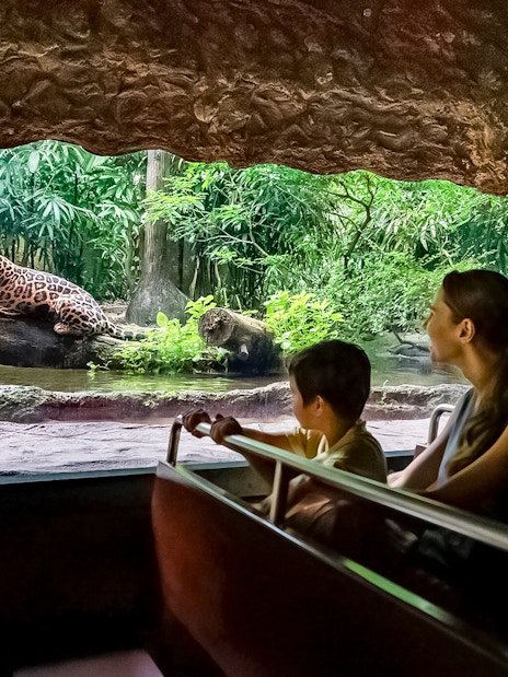 Tourists on Singapore River Wonders boat tour viewing a jaguar by lush riverbank.